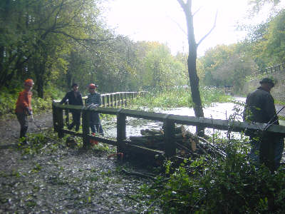 Hollinwood Canal Society working party on the canal at Daisy Nook