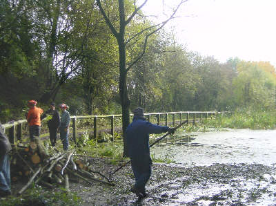 Hollinwood Canal Society working party on the canal at Daisy Nook