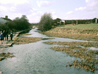 Crime Bridge