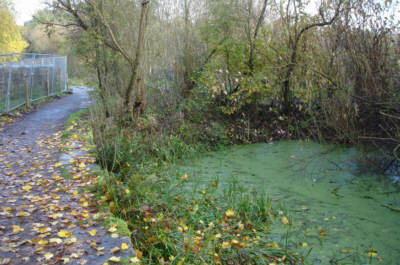 south side of Waterhouses Aqueduct before