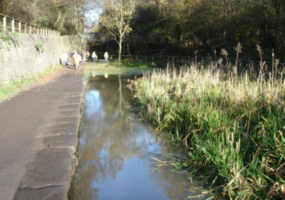 north of Visitor Centre after