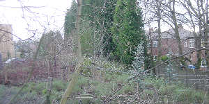 Hollinwood Canal route, Droylsden