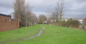 Hollinwood Canal route, Droylsden