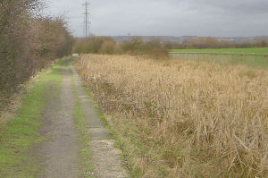 near Littlemoss School