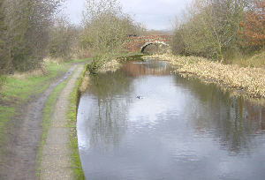 Cinderland Bridge