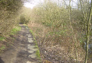 north-east of the motorway