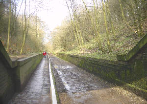 Dark Tunnel, Daisy Nook