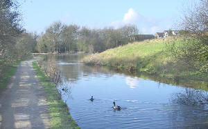 Approaching Crime Lake