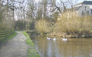 site of Crime Bridge