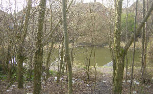 The Rochdale Canal