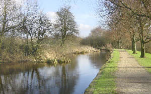 Fairbottom Branch