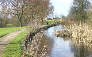 Fairbottom Branch