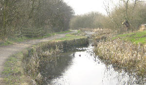 Fairbottom Branch
