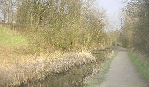Fairbottom Branch