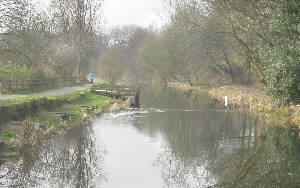 Fairbottom Branch