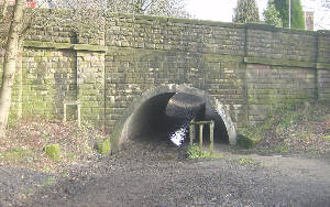 Bardsley Bridge