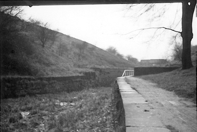 Hollinwood Branch Canal, Daisy Nook