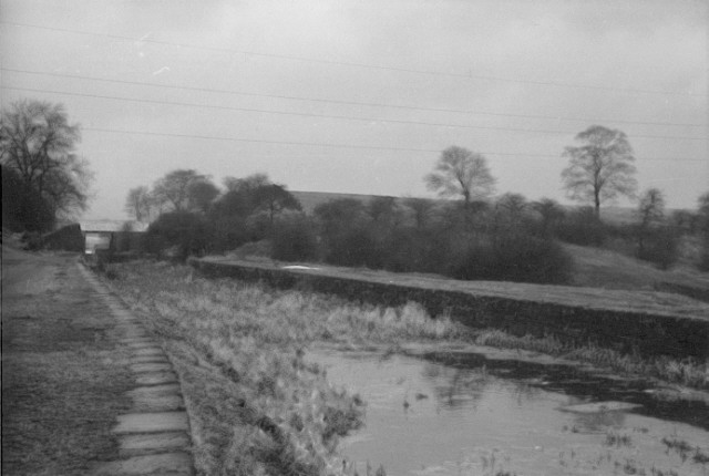 Hollinwood Branch Canal, Daisy Nook