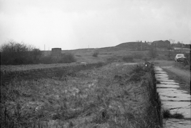 Hollinwood Branch Canal, Daisy Nook