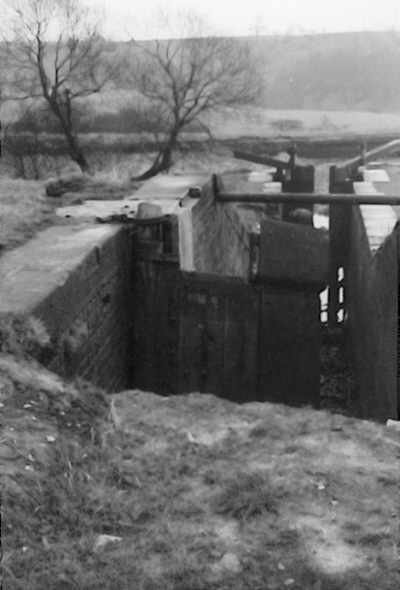 Hollinwood Branch Canal, Daisy Nook