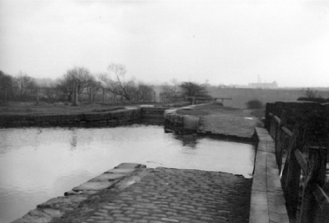 Hollinwood Branch Canal, Daisy Nook