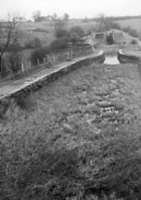 Hollinwood Branch Canal, Daisy Nook