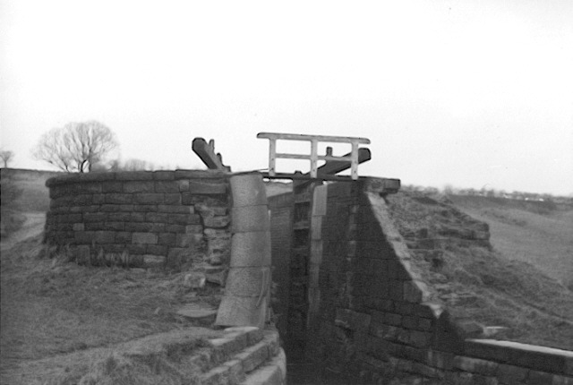 Hollinwood Branch Canal, Daisy Nook