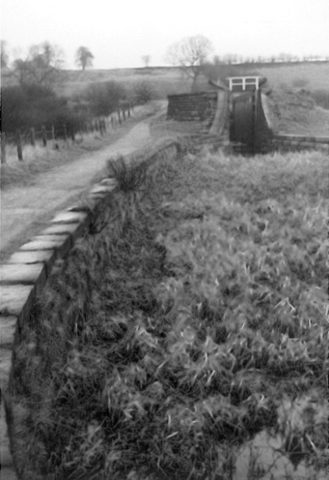 Hollinwood Branch Canal, Daisy Nook