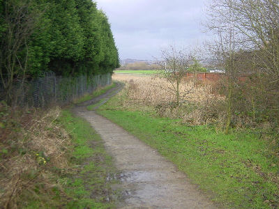 Hollinwood Canal, Littlemoss