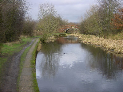 Cinderland Bridge, Littlemoss