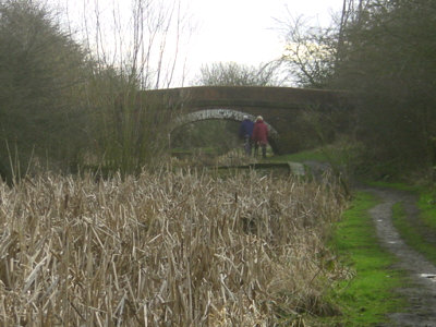 Cinderland Bridge, Littlemoss