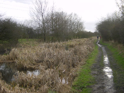 Hollinwood Canal, Littlemoss