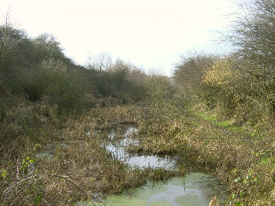 Hollinwood Canal, Littlemoss