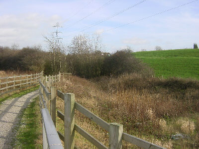 Hollinwood Canal, Littlemoss