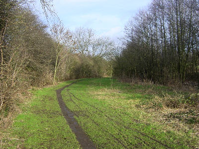 Hollinwood Canal, Littlemoss