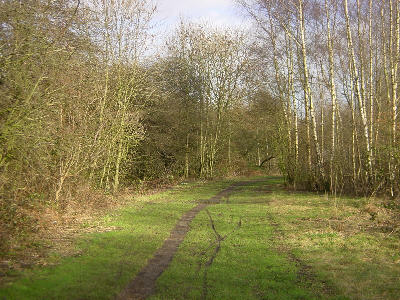 Hollinwood Canal, Littlemoss