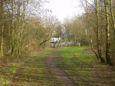 Hollinwood Canal, Littlemoss