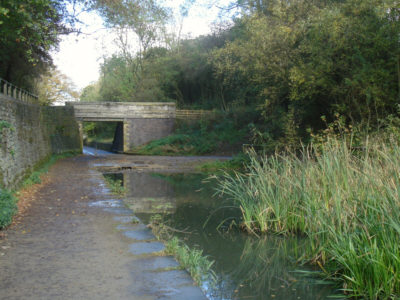 Hollinwood Canal, Daisy Nook