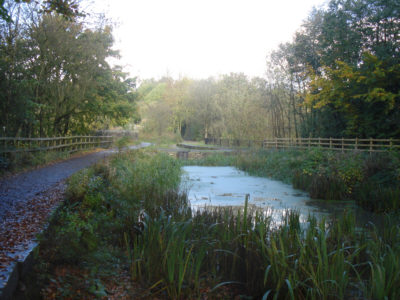 Hollinwood Canal, Daisy Nook