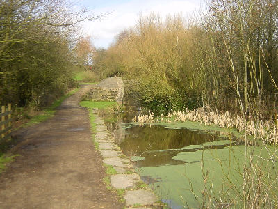 Lock 19, Daisy Nook