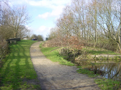 Hollinwood Canal, Littlemoss