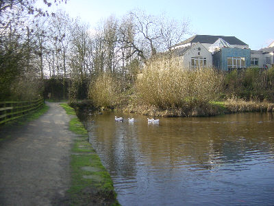 Crime Lake, Hollinwood Canal