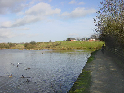 Crime Lake, Hollinwood Canal Crime Lake, Hollinwood Canal
