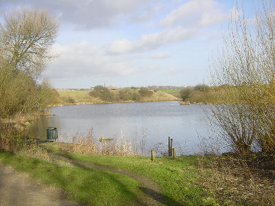 Crime Lake, Hollinwood Canal