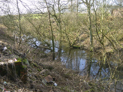 west of Crime Bridge, Hollinwood Canal