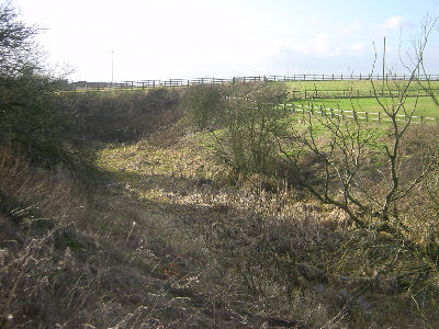 west of Crime Bridge, Hollinwood Canal