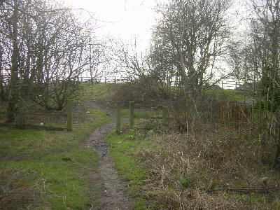 Hollinwood Canal route, Cutler Hill