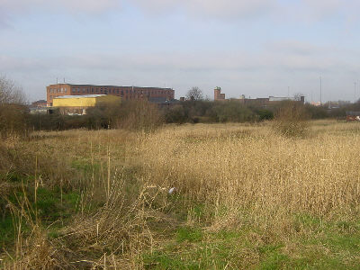 Roman Road, Hollinwood