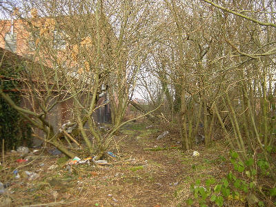 Hollinwood Canal route