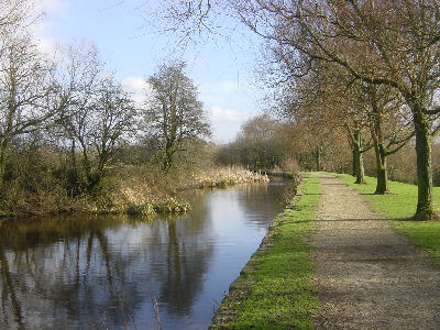 Fairbottom Branch Canal